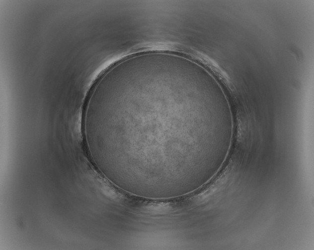 X0000112401174200908211109