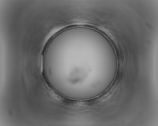 X0000112401175200908211109