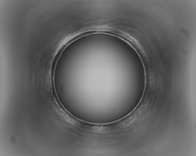 X0000112401176200908211109