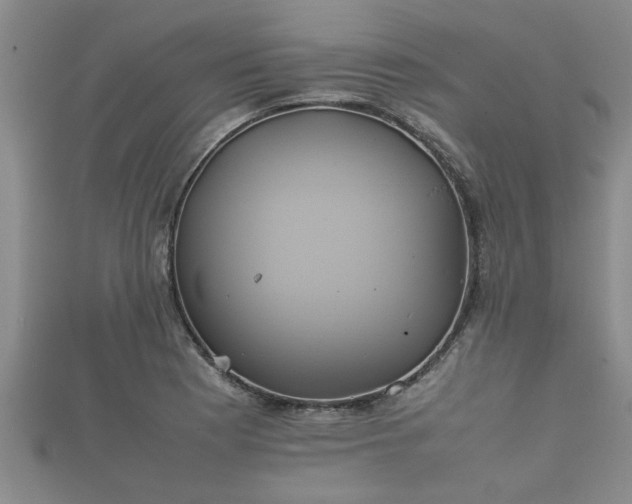 X0000112401177200908211109