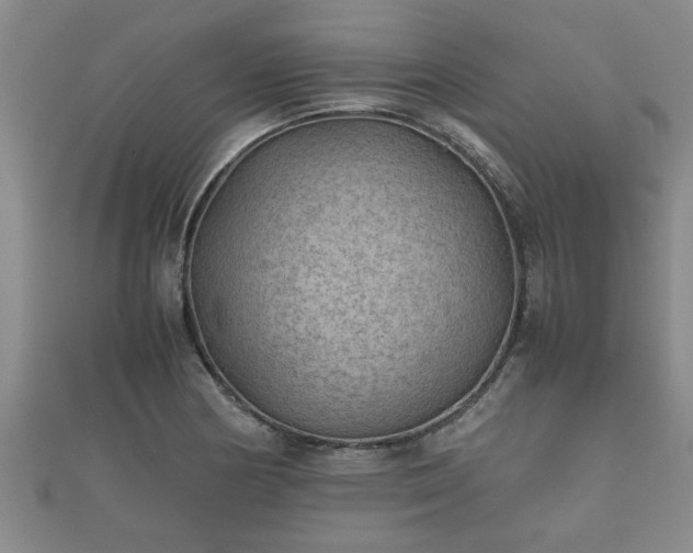 X0000112401178200908211109