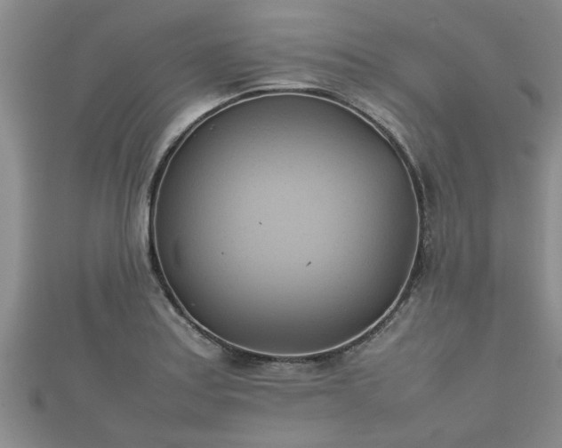 X0000112401179200908211109