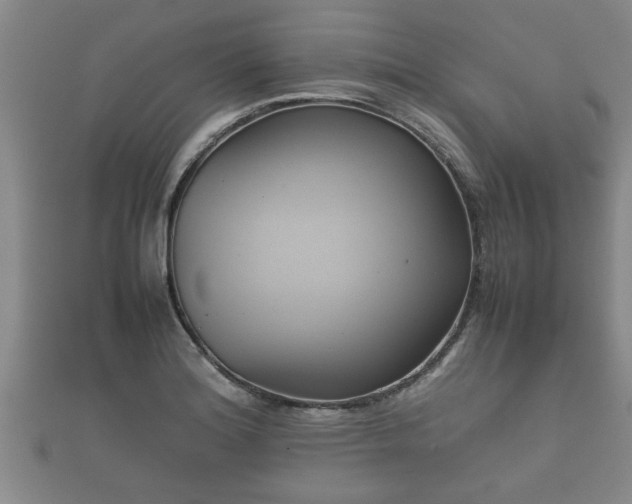 X0000112401180200908211109