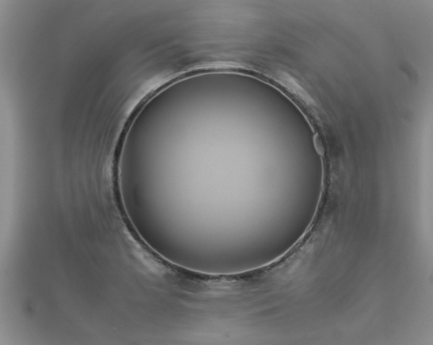 X0000112401181200908211109