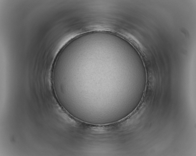 X0000112401182200908211109