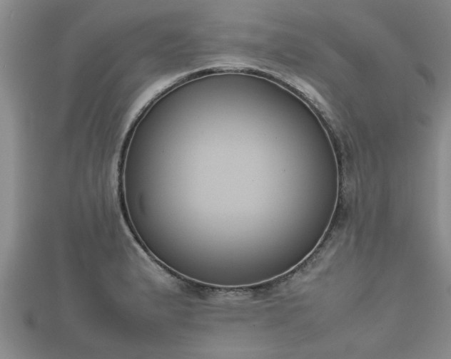 X0000112401183200908211109