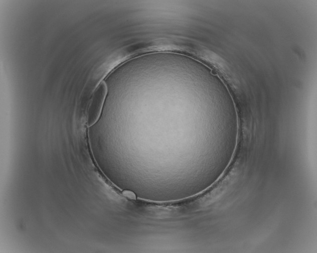 X0000112401185200908211109