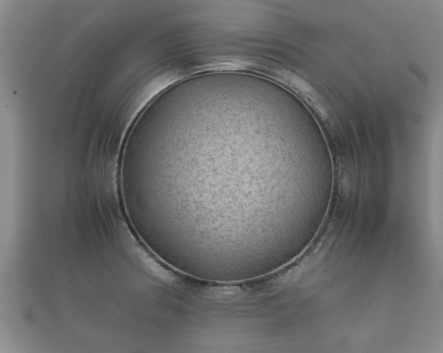 X0000112401186200908211109