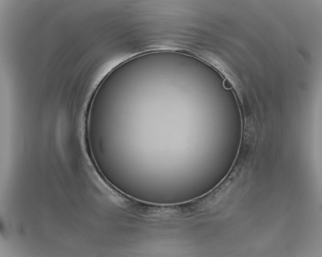 X0000112401187200908211109