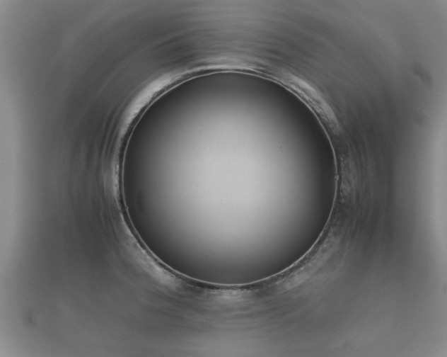X0000112401188200908211109
