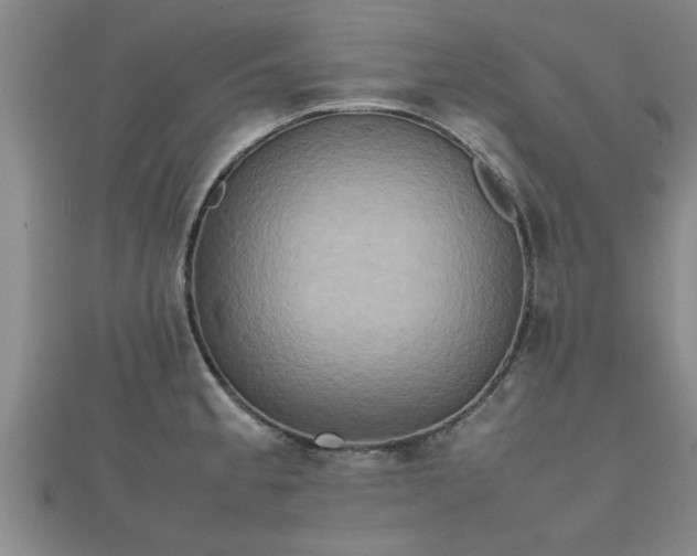 X0000112401189200908211109