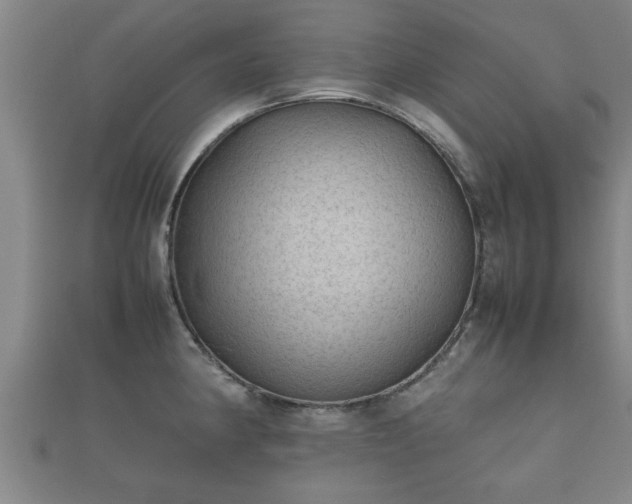 X0000112401190200908211108