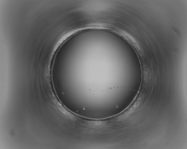 X0000112401192200908211108