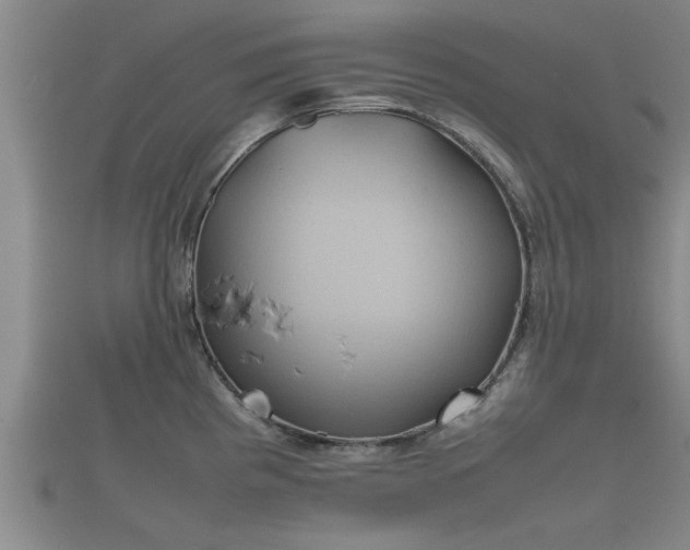 X0000112401193200908211108
