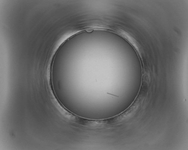 X0000112401195200908211108