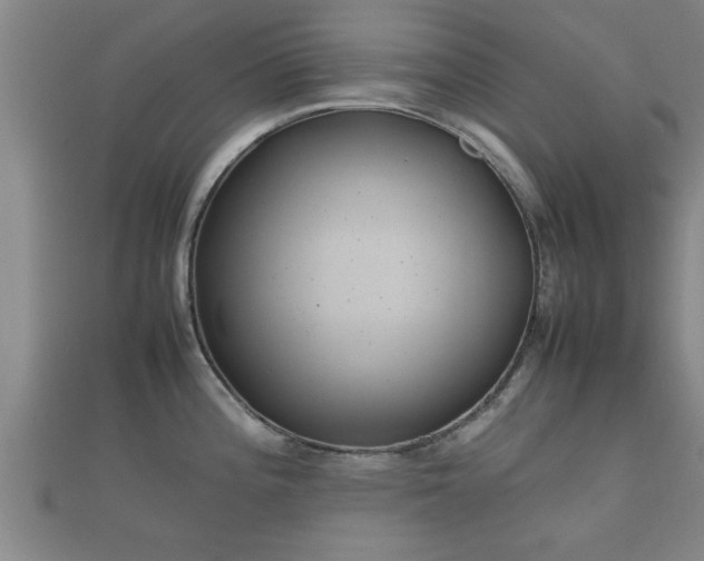 X0000112401196200908211108