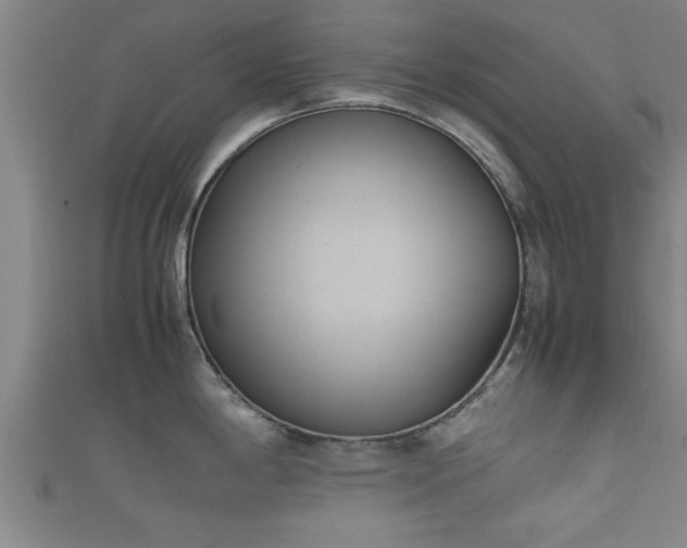 X0000112401198200908211108