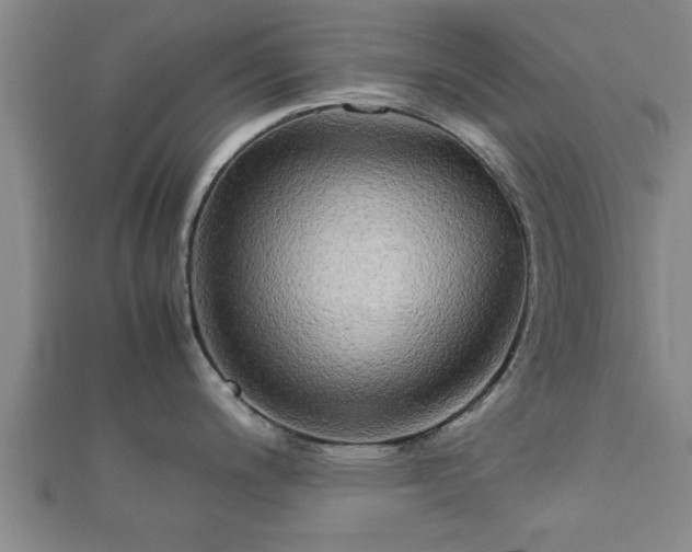 X0000112401200200908211108
