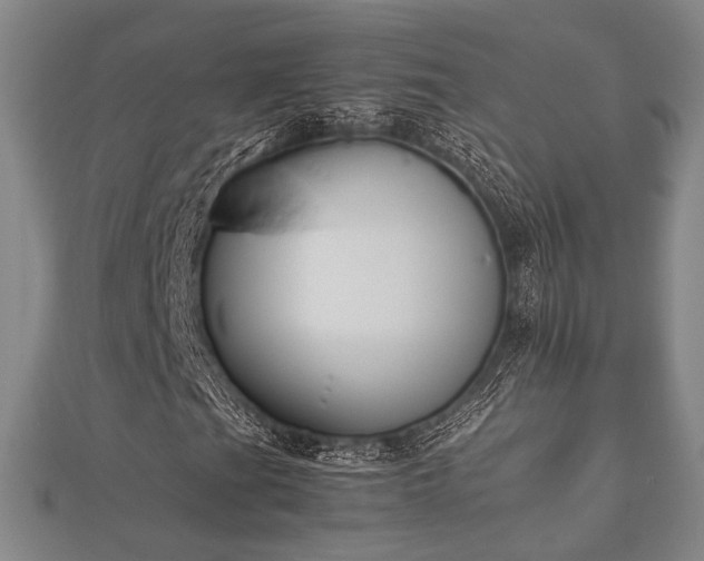 X0000112401201200908211108