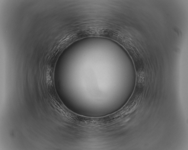 X0000112401202200908211108