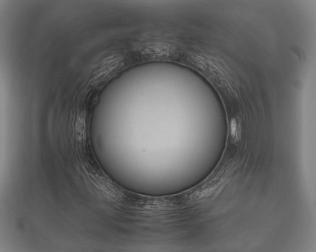 X0000112401203200908211108
