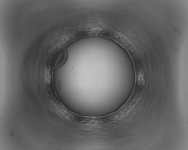 X0000112401204200908211108