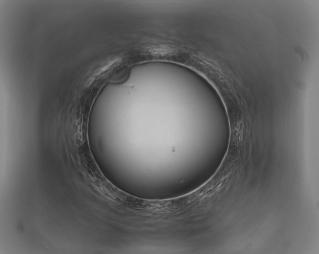 X0000112401205200908211108