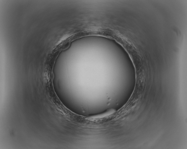 X0000112401206200908211108