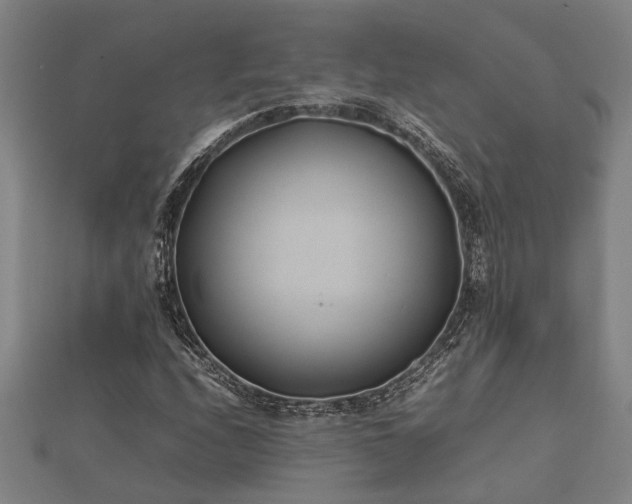 X0000112401208200908211108
