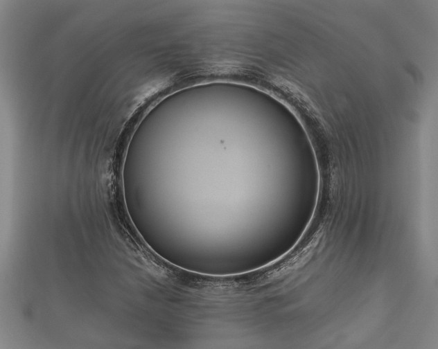 X0000112401210200908211108