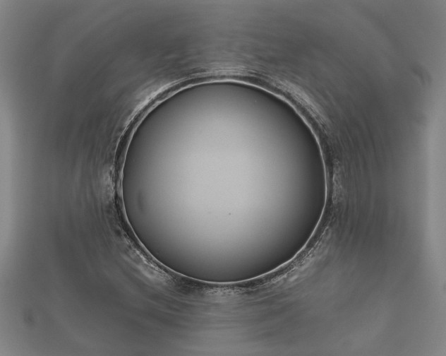 X0000112401212200908211108