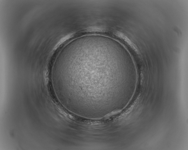 X0000112401213200908211108