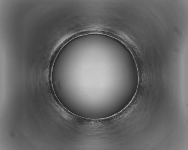 X0000112401216200908211108