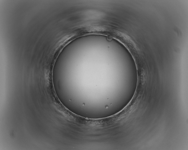 X0000112401217200908211108