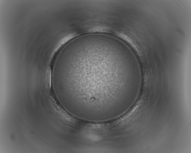 X0000112401219200908211108