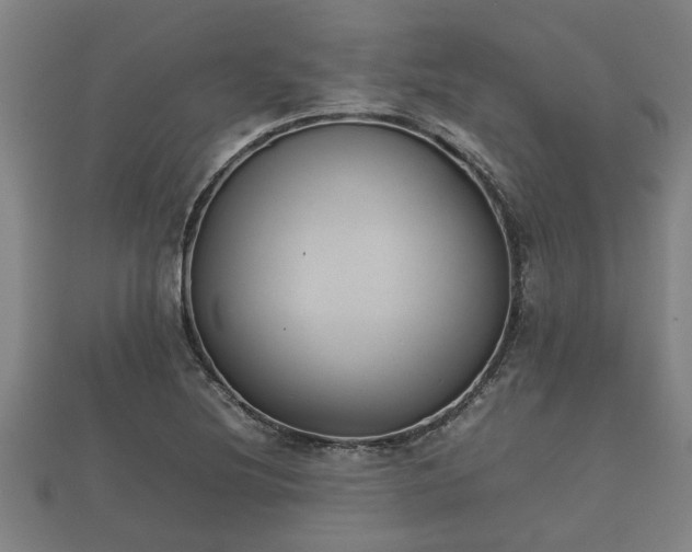 X0000112401220200908211108