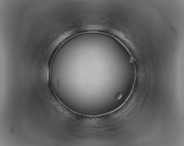 X0000112401221200908211108