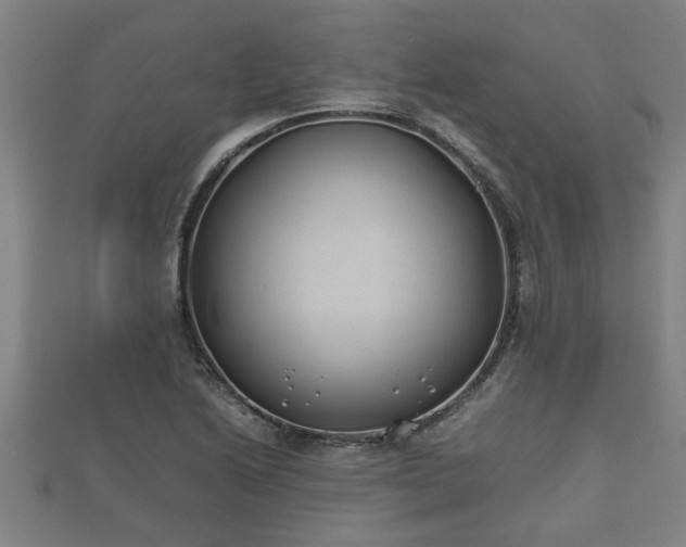 X0000112401222200908211108