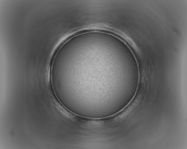 X0000112401224200908211108