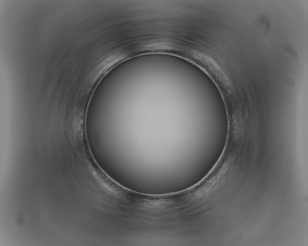 X0000112401225200908211108
