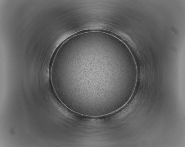 X0000112401226200908211108