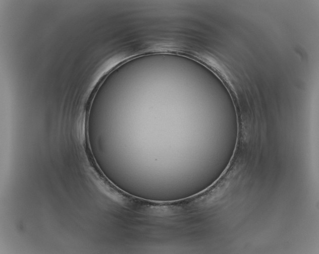 X0000112401227200908211108