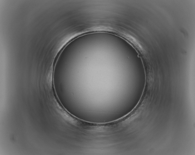 X0000112401228200908211108