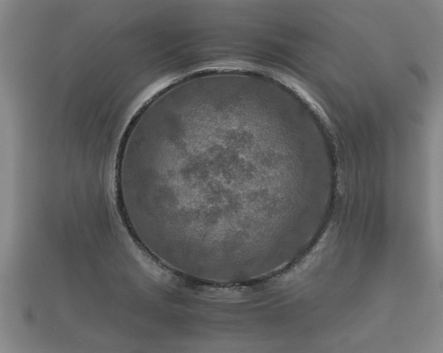 X0000112401229200908211108
