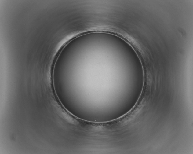 X0000112401230200908211108