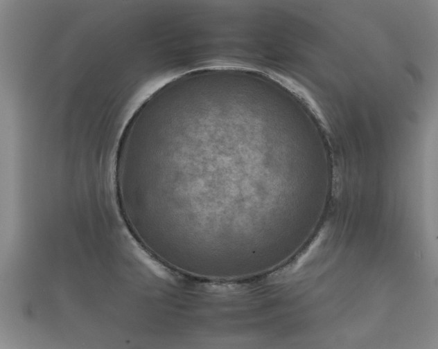 X0000112401231200908211108