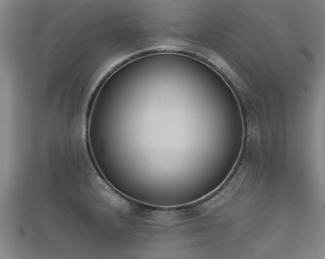 X0000112401232200908211108