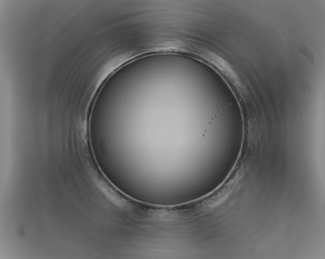 X0000112401234200908211108