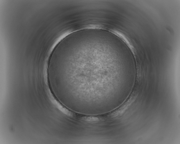X0000112401235200908211108