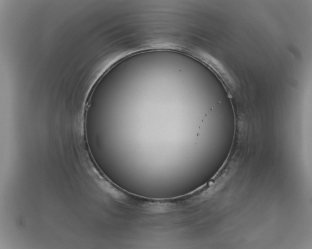 X0000112401236200908211108